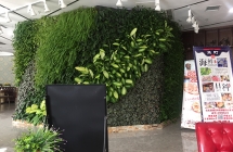 萍乡南昌植物墙的概念体现那些方面？