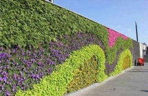 新余南昌垂直植物墙的九种形式