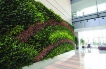 萍乡做好南昌垂直绿化维护的三要素