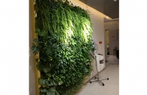 萍乡南昌室内植物墙与室外装饰设计的基本形态