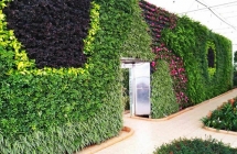 打造江西植物装饰墙怎么设计尺寸呢？