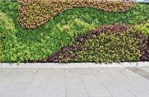 怎样选择江西植物墙培养的基质？