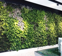 吉安江西墙体绿化