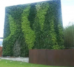 萍乡植物装饰墙搭建