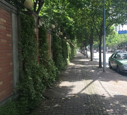法式植物墙