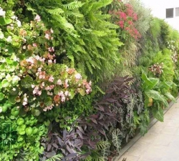 吉安创意植物墙设计