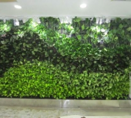 萍乡创意植物墙