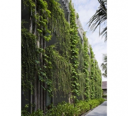 植物墙