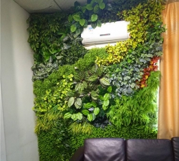 萍乡室内绿植墙