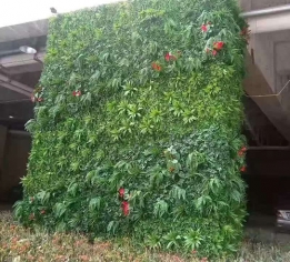 九江酒店餐厅植物墙