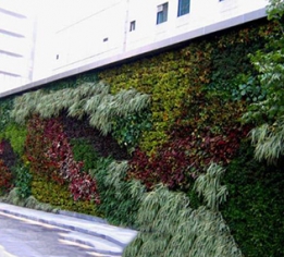 植物墙设计公司