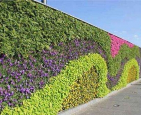 南昌植物装饰墙体绿化怎样做好隔断处理
