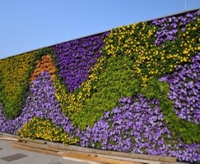 江西植物墙有什么作用？