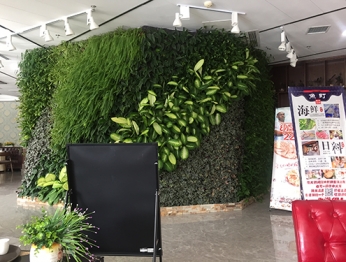 垂直植物墙