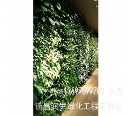 九江植物墙