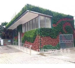 植物墙