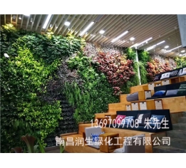 吉安植物墙