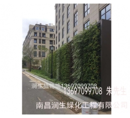 萍乡植物墙