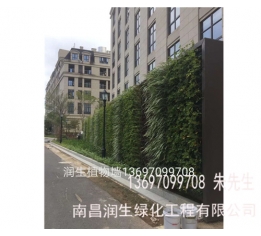 植物墙