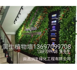 植物墙