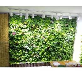 景德镇植物绿化墙