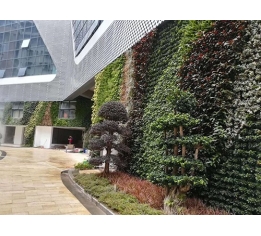 萍乡江西绿化墙设计