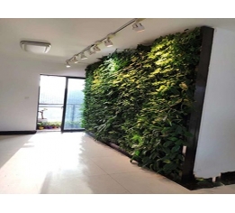 上饶绿化墙设计公司
