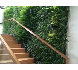 景德镇南昌垂直室外绿化墙