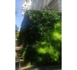 九江室外植物墙