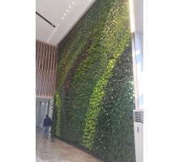 九江室内植物墙