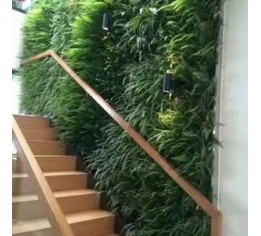 抚州室内植物墙