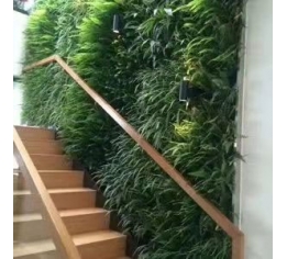 室内植物墙