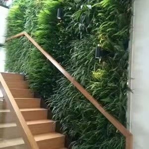 萍乡室内植物墙