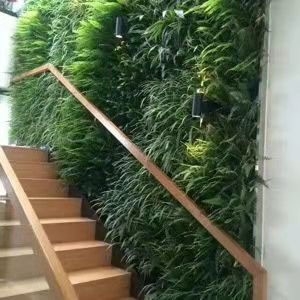 抚州室内植物墙