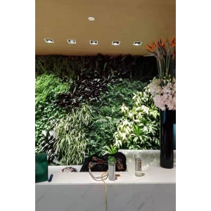 吉安江西室内植物墙