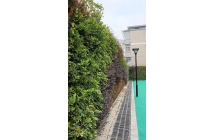 绿植墙在城市建设中有哪些环境和生态方面的益处？