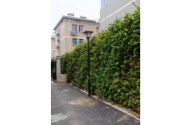 垂直绿化对城市环境有哪些具体好处？