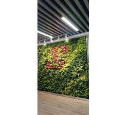 南昌江西植物墙