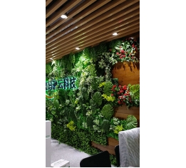 南昌南昌仿生植物墙