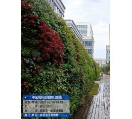 九江室外植物墙施工