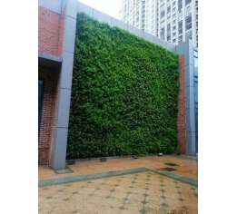 江西室外植物墙