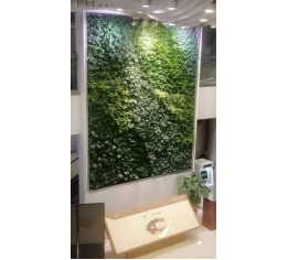 南昌植物墙厂家