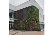 立体绿化在城市规划中的作用是什么？