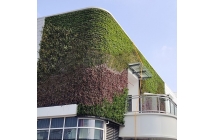 绿植墙的设计原理是什么？